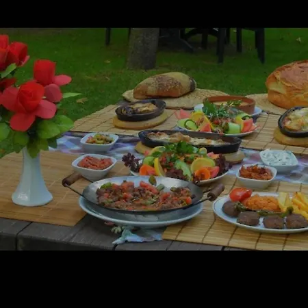 Oezde Dag Evi Сапанча